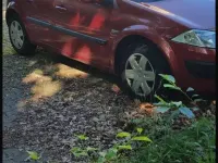 Gebraucht Renault Mégane 98 PS (72 kW) 2004 Kleinwagen