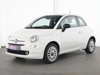 Gebraucht Fiat 500 Dolcevita 69 PS (50 kW) 2024 Weiß Kleinwagen