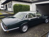 gebraucht Jaguar XJ40 