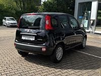 Neu Fiat Panda 69 PS (50 kW) 2025 Cinema schwarz Kleinwagen