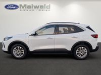 Neu Ford Kuga Titanium 190 PS (139 kW) 2026 Frostweiß SUV