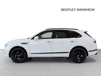 Gebraucht Bentley Bentayga 549 PS (403 kW) 2024 Weiß (glacier white) SUV