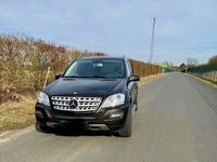 Gebraucht Mercedes ML350 272 PS (200 kW) 2010 SUV