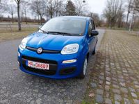 Neu Fiat Panda 71 PS (52 kW) 2025 Blau Kleinwagen