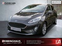 Gebraucht Ford Fiesta Cool & Connect 101 PS (74 kW) 2019 Grau Kleinwagen