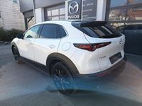 Gebraucht Mazda CX-30 122 PS (89 kW) 2023 SUV