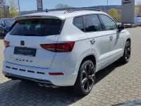 Neu Cupra Ateca 190 PS (139 kW) 2026 Glacial/nevada weiss metallic SUV