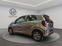 Gebraucht Kia Picanto Vision 67 PS (49 kW) 2024 Grau Kleinwagen