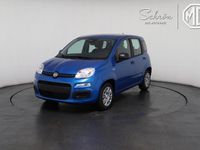 Neu Fiat Panda 69 PS (50 kW) 2025 Kleinwagen