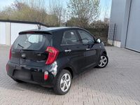 Gebraucht Kia Picanto 70 PS (51 kW) 2014 Schwarz Kleinwagen