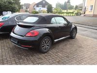 Gebraucht VW Beetle Sound 105 PS (77 kW) 2017 Schwarz Kleinwagen