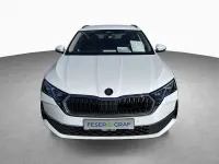 Neu Skoda Octavia Selection 150 PS (110 kW) 2026 Weiß Kombi