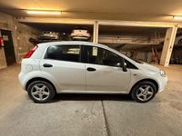 Gebraucht Fiat Punto 69 PS (50 kW) 2014 Weiß Kleinwagen