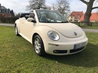 gebraucht VW Beetle 