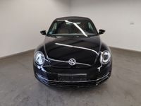 gebraucht VW Beetle Cabrio EXCLUSIVE DESIGN 1,2 TSI LEDER XEN