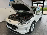 Gebraucht Ford Kuga Titanium 152 PS (111 kW) 2021 Weiß SUV
