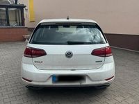 Gebraucht VW Golf VII 130 PS (95 kW) 2019 Weiß Kleinwagen