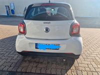 Gebraucht Smart ForFour 90 PS (66 kW) 2019 Weiß Kleinwagen