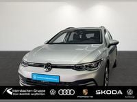 Gebraucht VW Golf VIII Life 131 PS (96 kW) 2023 Reflexsilber metallic Kombi