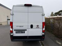 Gebraucht Fiat Ducato 160 PS (117 kW) 2020 Weiß Van