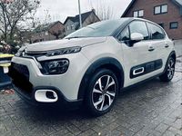 Gebraucht Citroën C3 PureTech 110 PS (80 kW) 2020 Beige Kleinwagen