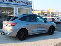 Gebraucht Ford Kuga ST-Line X 150 PS (110 kW) 2020 Grau SUV