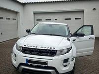 Gebraucht Land Rover Range Rover evoque Dynamic 150 PS (110 kW) 2014 Weiß SUV