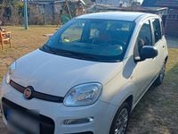 Gebraucht Fiat Panda Easy 69 PS (50 kW) 2019 Weiß Kleinwagen