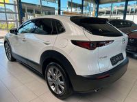 Gebraucht Mazda CX-3 Selection 122 PS (89 kW) 2019 Snowflake white SUV