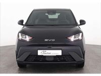 Nouvelle BYD Dolphin Boost 64 kW (88 ch) 2026 Noir Citadine