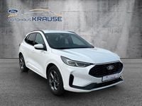 Gebraucht Ford Kuga ST-Line 186 PS (136 kW) 2024 Frostweiß SUV