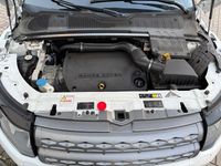 Gebraucht Land Rover Range Rover evoque 155 PS (114 kW) 2012 Weiß SUV