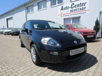 Gebraucht Fiat Punto Pop 69 PS (50 kW) 2014 Blau Kleinwagen
