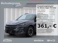 Gebraucht Cupra Terramar 150 PS (110 kW) 2025 Grau SUV