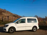 Gebraucht VW Caddy Trendline 102 PS (75 kW) 2019 Weiß Van / Kleinbus