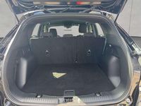 Gebraucht Ford Kuga ST-Line 151 PS (111 kW) 2024 Agate black metallic SUV