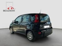 Gebraucht Fiat Panda 69 PS (50 kW) 2023 Schwarz Kleinwagen