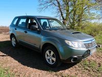 Occasion Subaru Forester 150 ch (110 kW) 2008 Vert SUV