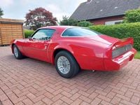 Gebraucht Pontiac Firebird 260 PS (191 kW) 1981 Rot Coupé