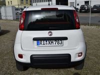 gebraucht Fiat Panda 4x4/KLIMA/TÜV NEU