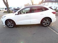 Neu Ford Kuga ST-Line 186 PS (136 kW) 2026 Frostweiss SUV