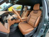Gebraucht KGM Torres 204 PS (150 kW) 2025 Grün SUV