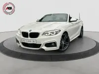 Gebraucht BMW 220 M Sport 184 PS (135 kW) 2019 Weiß Cabrio