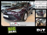 Gebraucht Toyota C-HR Business Edition 122 PS (89 kW) 2022 Dunkelamethyst metallic SUV