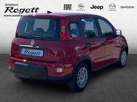 Gebraucht Fiat Panda 69 PS (50 kW) 2024 Weiss) (weiss Kleinwagen