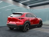 gebraucht Mazda CX-30 2.0 G 150 HOMURA PremiumP