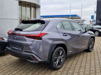 gebraucht Lexus UX 250h Launch Edition ACC FLA LM KAM LED Navi