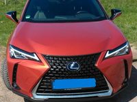 Gebraucht Lexus UX 184 PS (135 kW) 2021 Orange SUV