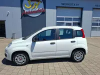 Usado Fiat Panda Easy 69 HP (50 kW) 2019 Branco Citadino