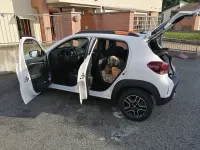 Gebraucht Dacia Spring Comfort Plus 33 kW (45 PS) 2022 Weiß Kleinwagen